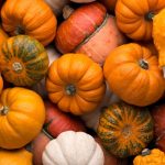 recetas con calabaza